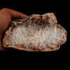 Scolecite Sprays Inside Heulandite Geode Natural Mineral Specimen  # B 5071