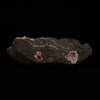 Scolecite Sprays Inside Heulandite Geode Natural Mineral Specimen  # B 5071