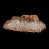 Scolecite Sprays Inside Heulandite Geode Natural Mineral Specimen  # B 5071
