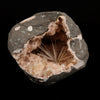 Scolecite Sprays Inside Heulandite Geode Natural Mineral Specimen # B 5600