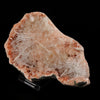 Scolecite Sprays Inside Heulandite Geode Natural Mineral Specimen # B 5624