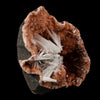 Scolecite Sprays Inside Heulandite Geode Natural Mineral Specimen # B 5689