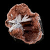 Scolecite Sprays Inside Heulandite Geode Natural Mineral Specimen # B 5689