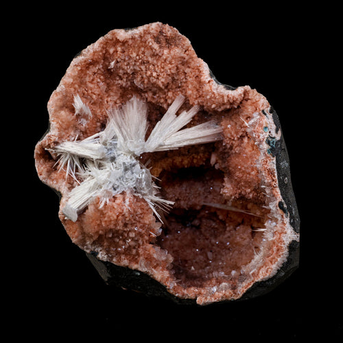 Scolecite Sprays Inside Heulandite Geode Natural Mineral Specimen # B 5689