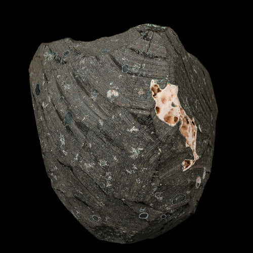 Scolecite Sprays Inside Heulandite Geode Natural Mineral Specimen # B 5745