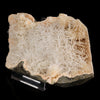 Scolecite Sprays Inside Heulandite Geode Natural Mineral Specimen # B 5757