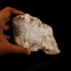 Scolecite Sprays Inside Heulandite Geode Natural Mineral Specimen # B 5757