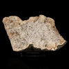 Scolecite Sprays Inside Heulandite Geode Natural Mineral Specimen # B 5757
