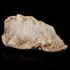 Scolecite Sprays Inside Heulandite Geode Natural Mineral Specimen # B 5757