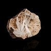 Scolecite Sprays Inside Heulandite Geode Natural Mineral Specimen # B 5779