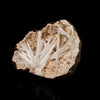 Scolecite Sprays Inside Heulandite Geode Natural Mineral Specimen # B 5779