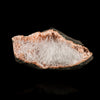 Scolecite Sprays Inside Heulandite Geode Natural Mineral Specimen # B 5795