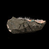 Scolecite Sprays Inside Heulandite Geode Natural Mineral Specimen # B 5795