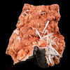Scolecite Sprays Inside Heulandite Geode Natural Mineral Specimen # B 5803