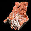 Scolecite Sprays Inside Heulandite Geode Natural Mineral Specimen # B 5803