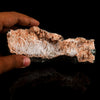 Scolecite Sprays Inside Heulandite Geode Natural Mineral Specimen # B 5809