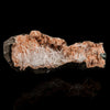 Scolecite Sprays Inside Heulandite Geode Natural Mineral Specimen # B 5809