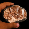 Scolecite Sprays Inside Heulandite Geode Natural Mineral Specimen # B 5823