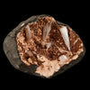 Scolecite Sprays Inside Heulandite Geode Natural Mineral Specimen # B 5823