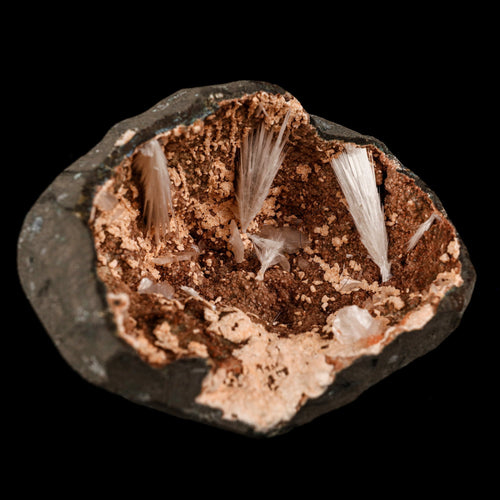 Scolecite Sprays Inside Heulandite Geode Natural Mineral Specimen # B 5823
