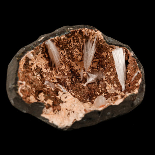 Scolecite Sprays Inside Heulandite Geode Natural Mineral Specimen # B 5823