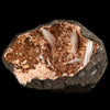 Scolecite Sprays Inside Heulandite Geode Natural Mineral Specimen # B 5823