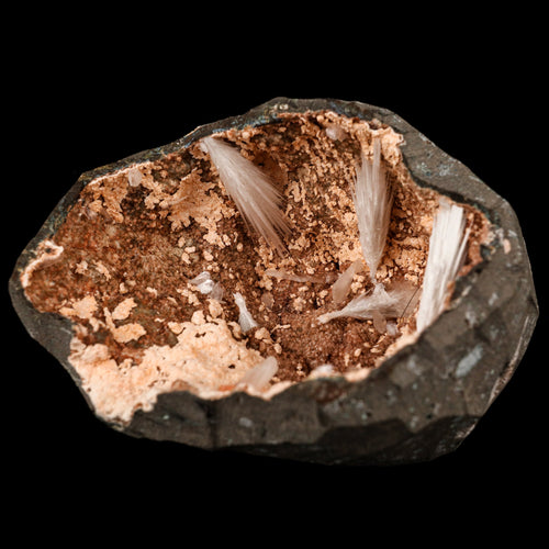 Scolecite Sprays Inside Heulandite Geode Natural Mineral Specimen # B 5823
