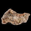Scolecite Sprays Inside Heulandite Geode Natural Mineral Specimen # B 5860