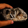 Scolecite Sprays Inside Heulandite Geode Natural Mineral Specimen # B 5889