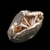 Scolecite Sprays Inside Heulandite Geode Natural Mineral Specimen # B 6283