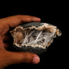 Scolecite Sprays Inside Heulandite Geode Natural Mineral Specimen # B 6287