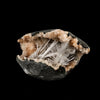Scolecite Sprays Inside Heulandite Geode Natural Mineral Specimen # B 6287