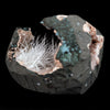 Scolecite Sprays Inside Heulandite See through Geode Natural Mineral Specimen  # B 4906
