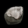 Scolecite Sprays Inside MM Quartz Geode Natural Mineral Specimen # B 5490