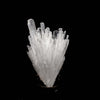Scolecite Sprays Natural Mineral Specimen  # B 5197