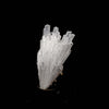 Scolecite Sprays Natural Mineral Specimen  # B 5197