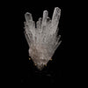 Scolecite Sprays Natural Mineral Specimen  # B 5197