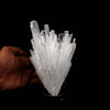 Scolecite Sprays Natural Mineral Specimen  # B 5197