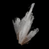Scolecite Sprays Natural Mineral Specimen  # B 5215