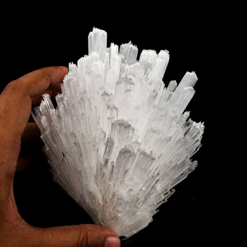Scolecite Sprays Natural Mineral Specimen # B 6389