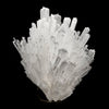 Scolecite Sprays Natural Mineral Specimen # B 6389