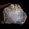 Scolecite Sprays On Heulandite With Stilbite Geode Natural Mineral Specimen  # B 4904