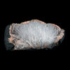 Scolecite Sprays On Heulandite With Stilbite Geode Natural Mineral Specimen  # B 4904