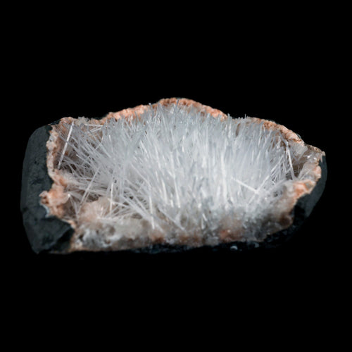 Scolecite Sprays On Heulandite With Stilbite Geode Natural Mineral Specimen  # B 4904