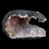 Scolecite Sprays with Stilbite Inside Heulandite Geode Natural Mineral Specimen  # B 4541