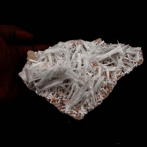 Scolecite Sprays with Stilbite on Heulandite Natural Mineral Specimen  # B 5171