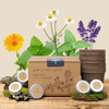 Grow an Herb Garden Herbal Teas Seed Kit