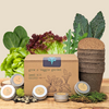 Grow a Veggie Garden Leafy Greens Seed Kit