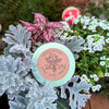 Fairy Garden Seed Mix