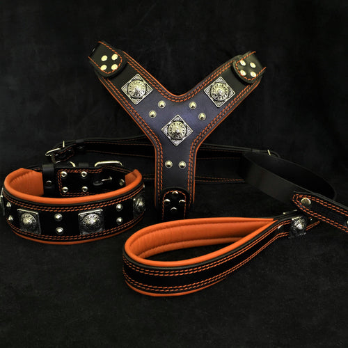 EROS BIG dog SET- Harness - collar - lead. Black & Orange